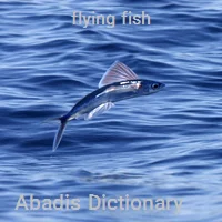 flying fish